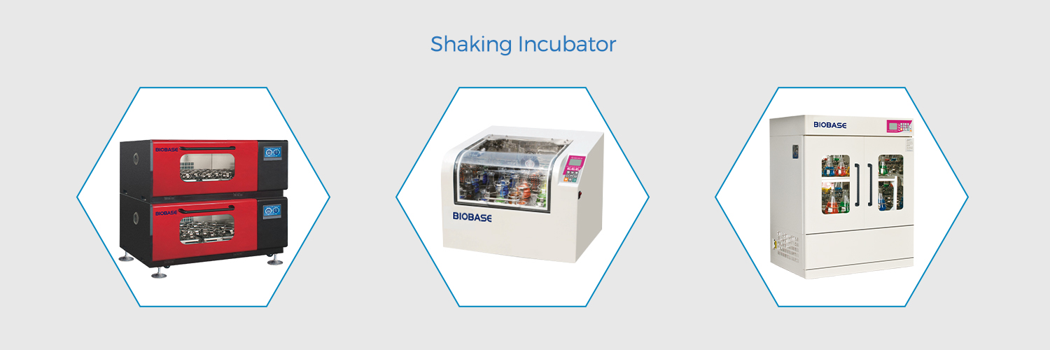 HOW DOES A LABORATORY INCUBATOR WORK? BIOBASE LLC