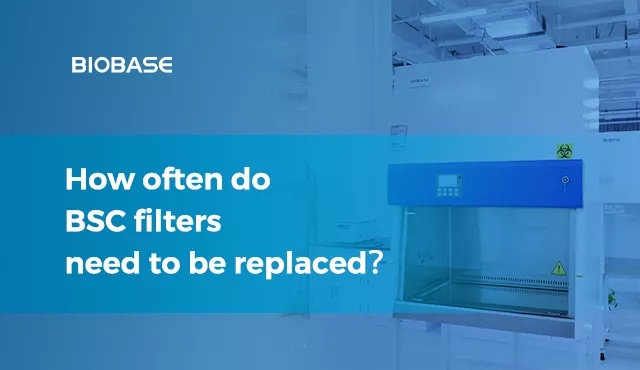 How often do BSC filters need to be replaced？