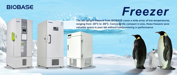 BIOBASE Freezer - Upright -45°C to -86°C 